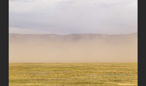 Mongolei (Mongolia)