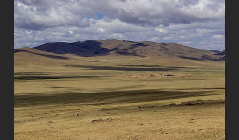 Mongolei (Mongolia)