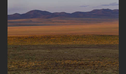 Mongolei (Mongolia)