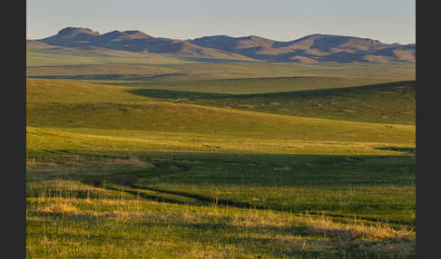 Mongolei (Mongolia)