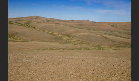 Mongolei (Mongolia)