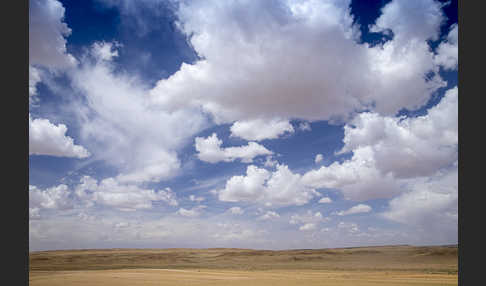 Mongolei (Mongolia)