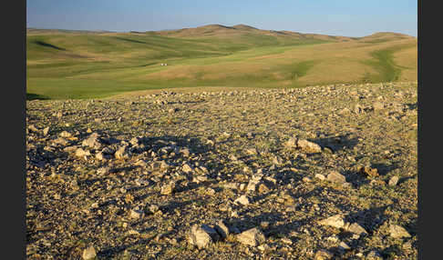 Mongolei (Mongolia)