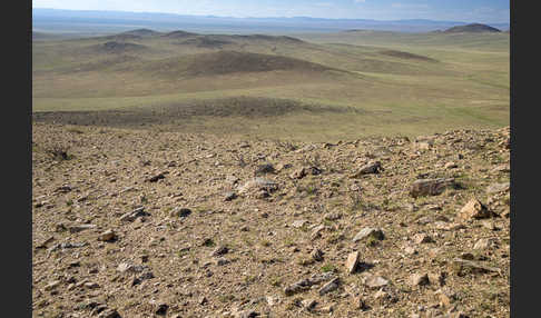 Mongolei (Mongolia)