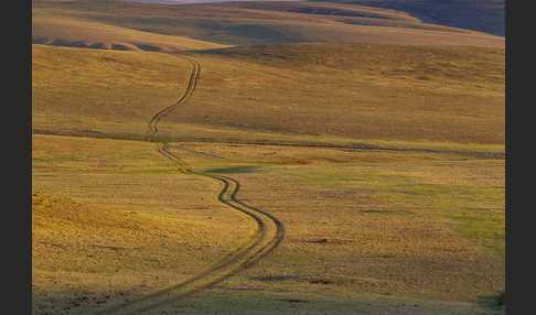 Mongolei (Mongolia)