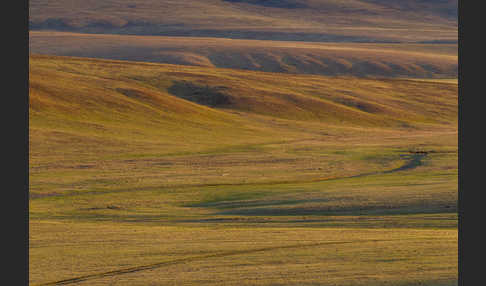 Mongolei (Mongolia)