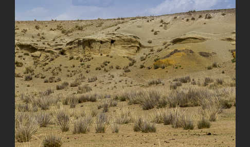 Mongolei (Mongolia)