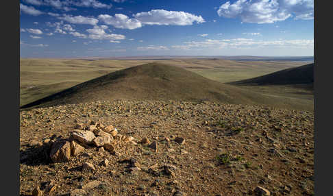 Mongolei (Mongolia)