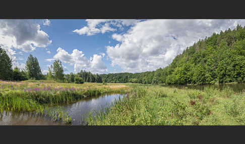 Thüringen (Thuringia)