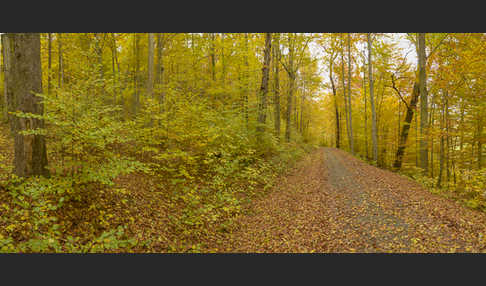 Thüringen (Thuringia)