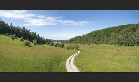 Thüringen (Thuringia)