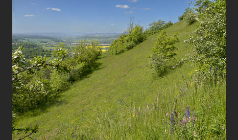 Thüringen (Thuringia)