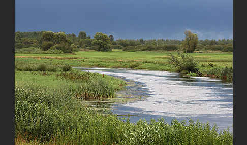 Polen (Poland)