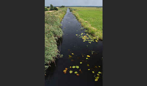 Polen (Poland)