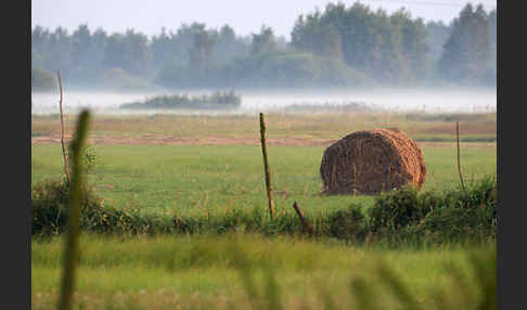 Polen (Poland)