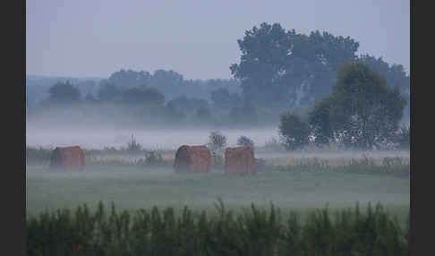 Polen (Poland)