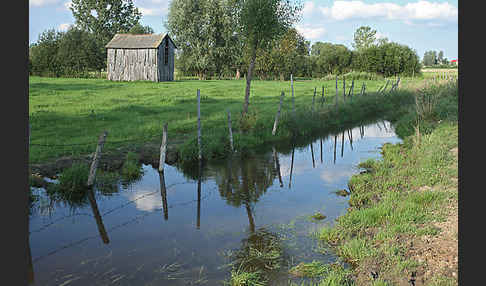 Polen (Poland)