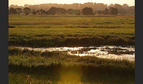 Polen (Poland)