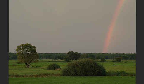 Polen (Poland)