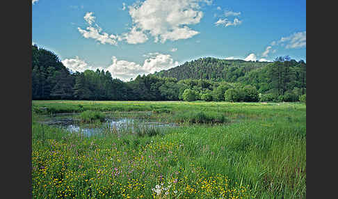 Thüringen (Thuringia)