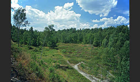 Thüringen (Thuringia)