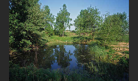 Thüringen (Thuringia)