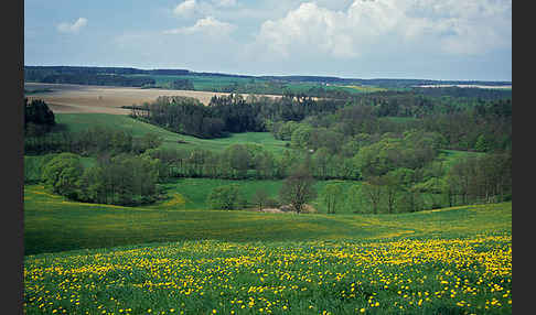 Thüringen (Thuringia)