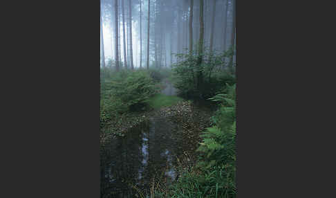 Thüringen (Thuringia)