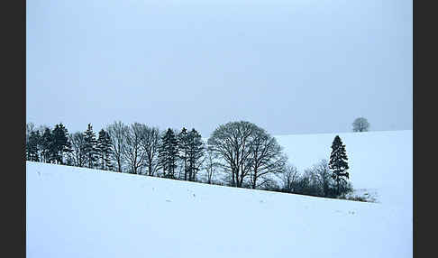 Thüringen (Thuringia)