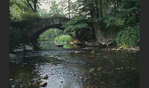 Thüringen (Thuringia)