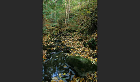 Thüringen (Thuringia)