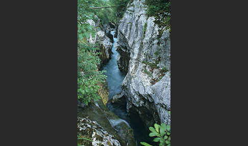 Slowenien (Slovenia)