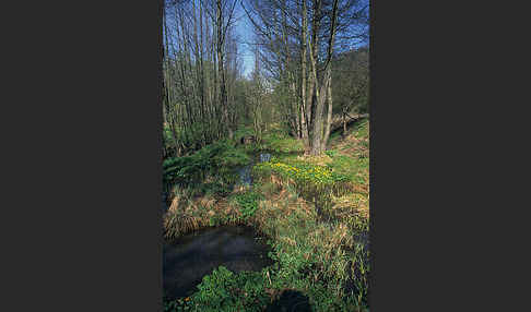 Thüringen (Thuringia)