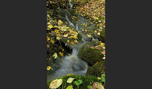 Herbst (autumn)