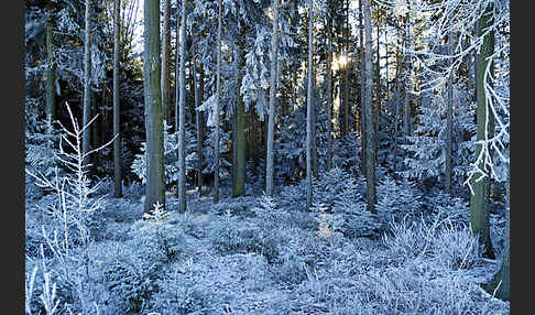 Thüringen (Thuringia)