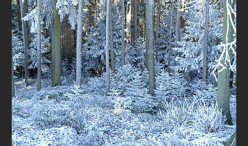 Thüringen (Thuringia)