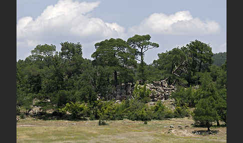 Griechenland (Greece)