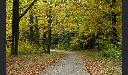 Herbst (autumn)