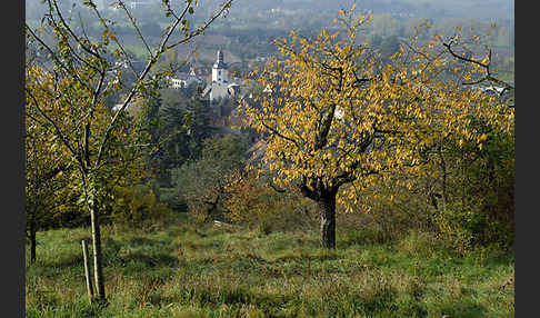 Thüringen (Thuringia)