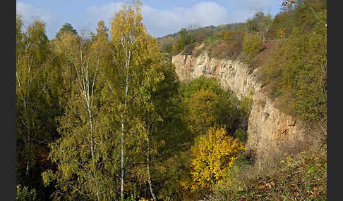 Thüringen (Thuringia)