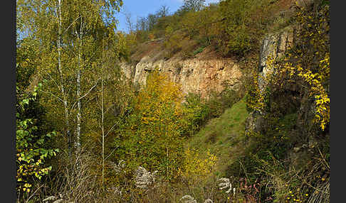 Thüringen (Thuringia)