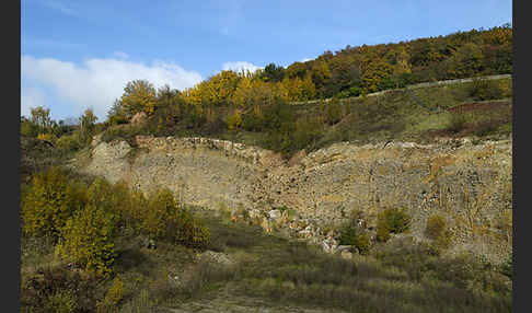 Thüringen (Thuringia)