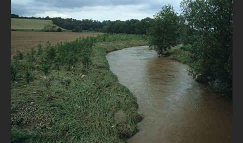 Fluß (river)