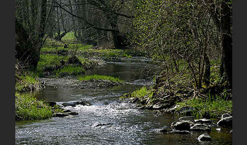 Thüringen (Thuringia)