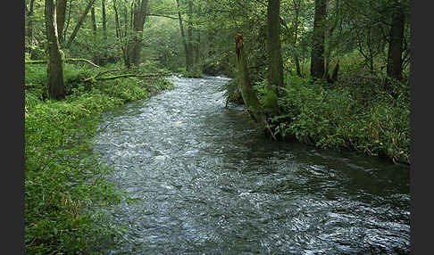 Thüringen (Thuringia)