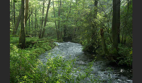 Thüringen (Thuringia)