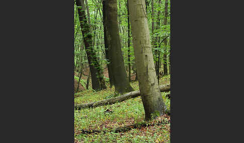 Slowakei (Slovakia)