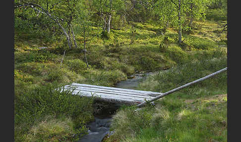 Finnland (Finland)