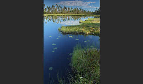 Finnland (Finland)