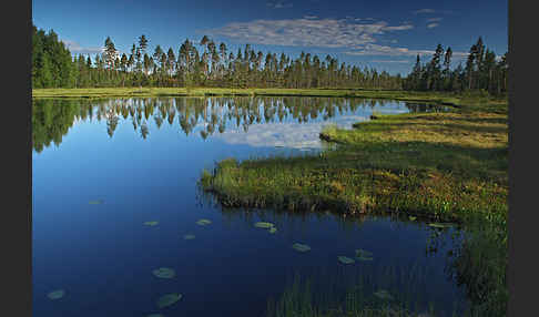 Finnland (Finland)